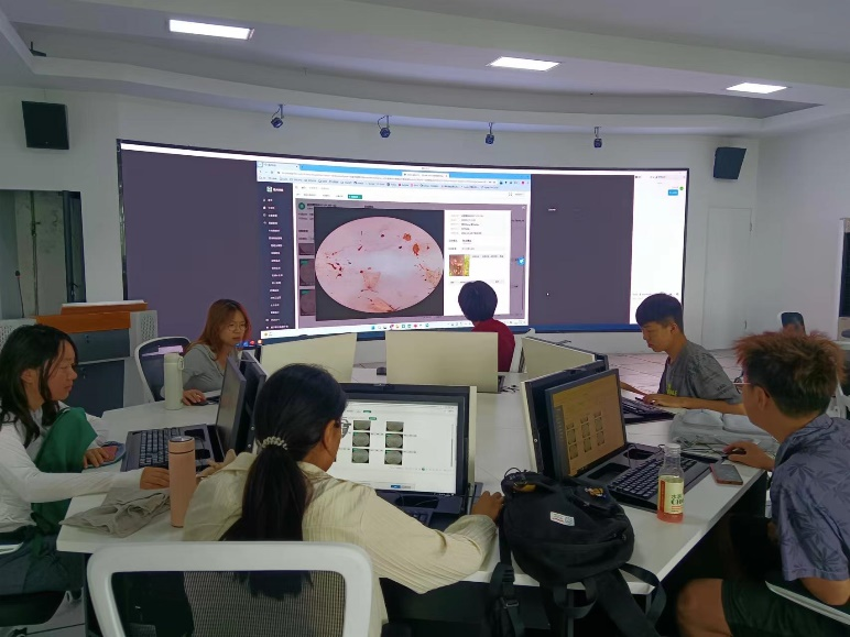 蚈蚈云创新创业团队开展虫情标记...